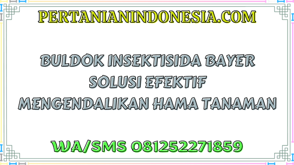 Buldok Insektisida Bayer Solusi Efektif Mengendalikan Hama Tanaman